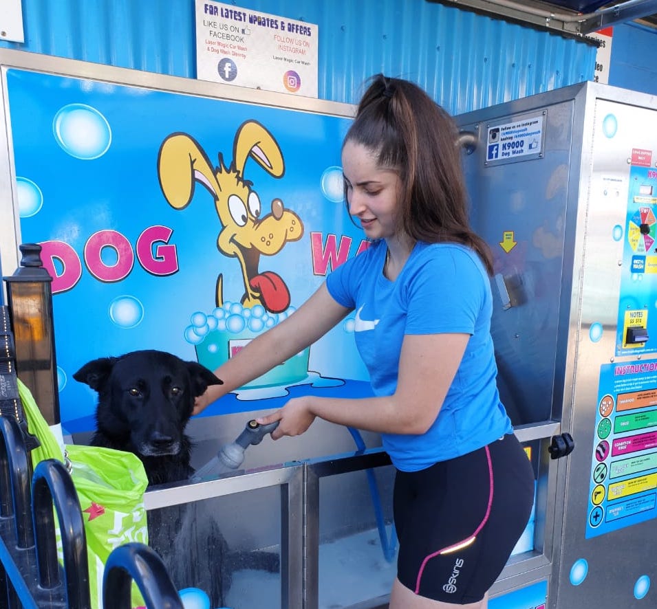 how much is self service dog wash at petco